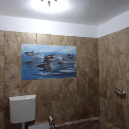 Guest house Casa Garden 3*