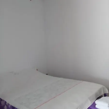 Guest house Casa Garden 3*